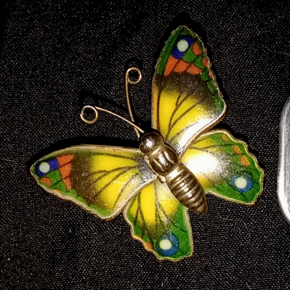 Vintage enamel butterfly/moth pin
